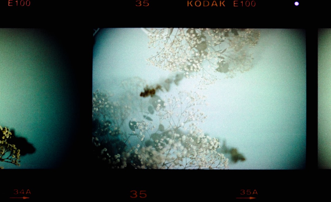 Space Explorers Employ Microorganisms for Extracting Minerals Beyond Earth