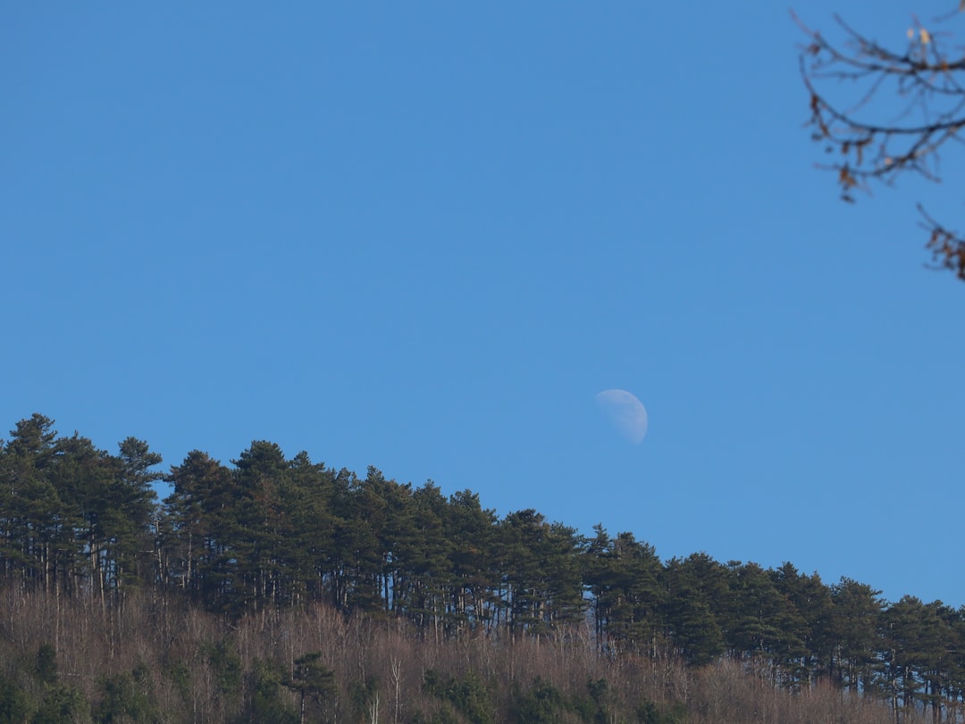 Creating Durable Lunar Landing Facilities for Multiple Spacecraft Missions