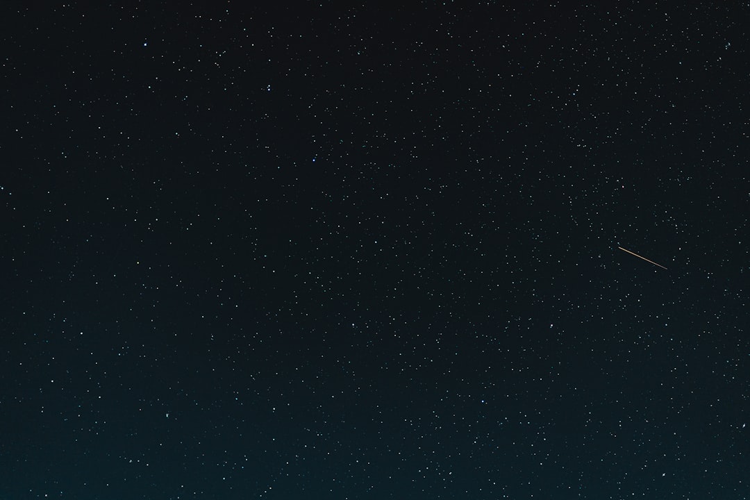 Could Our Planet Support Life If All Organisms Vanished? - Space Portal featured image